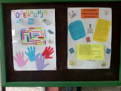 IMG_20171116_095430.jpg